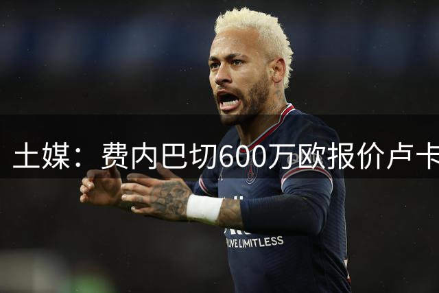 土媒：费内巴切600万欧报价卢卡库遭拒，已与球员达成协议