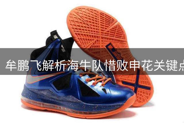 牟鹏飞解析海牛队惜败申花关键点 表态保级战役仍存转机