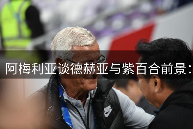 阿梅利亚谈德赫亚与紫百合前景：顶级门将将助球队重返正轨